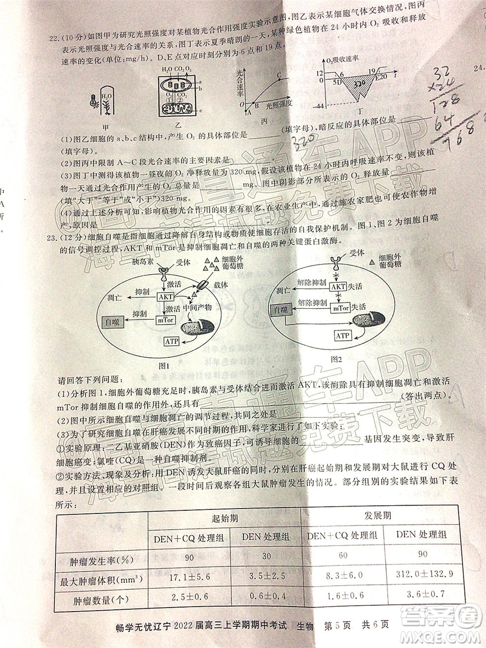 暢學(xué)無憂遼寧2022屆高三上學(xué)期期中考試生物試題及答案