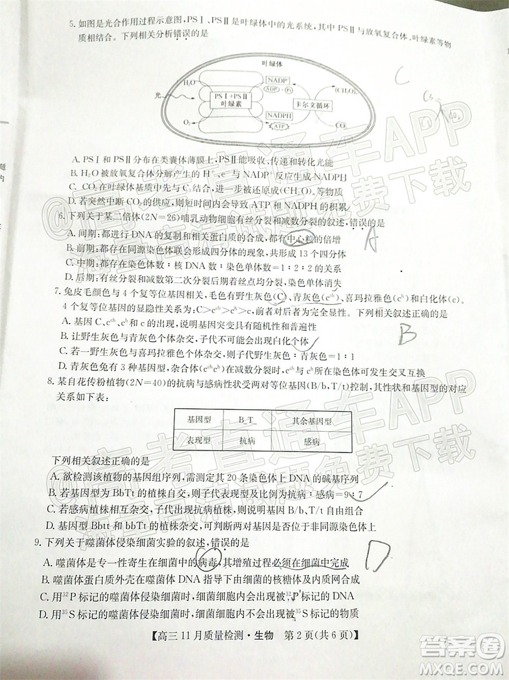 2022屆九師聯(lián)盟高三11月質(zhì)量檢測生物試題及答案