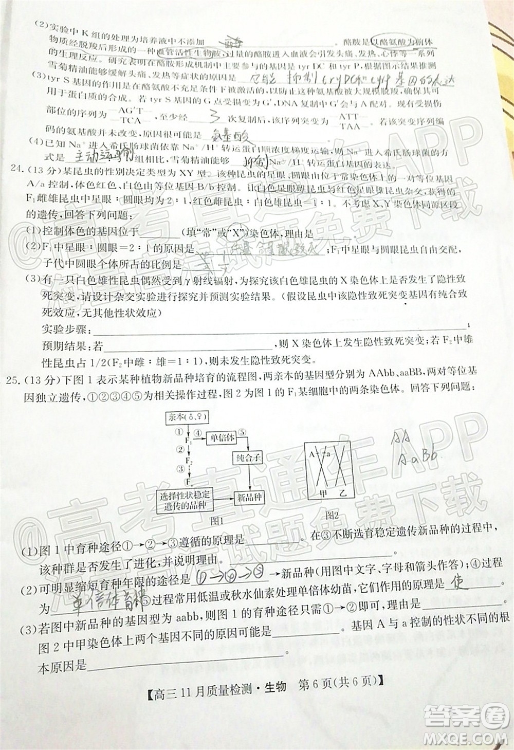 2022屆九師聯(lián)盟高三11月質(zhì)量檢測生物試題及答案