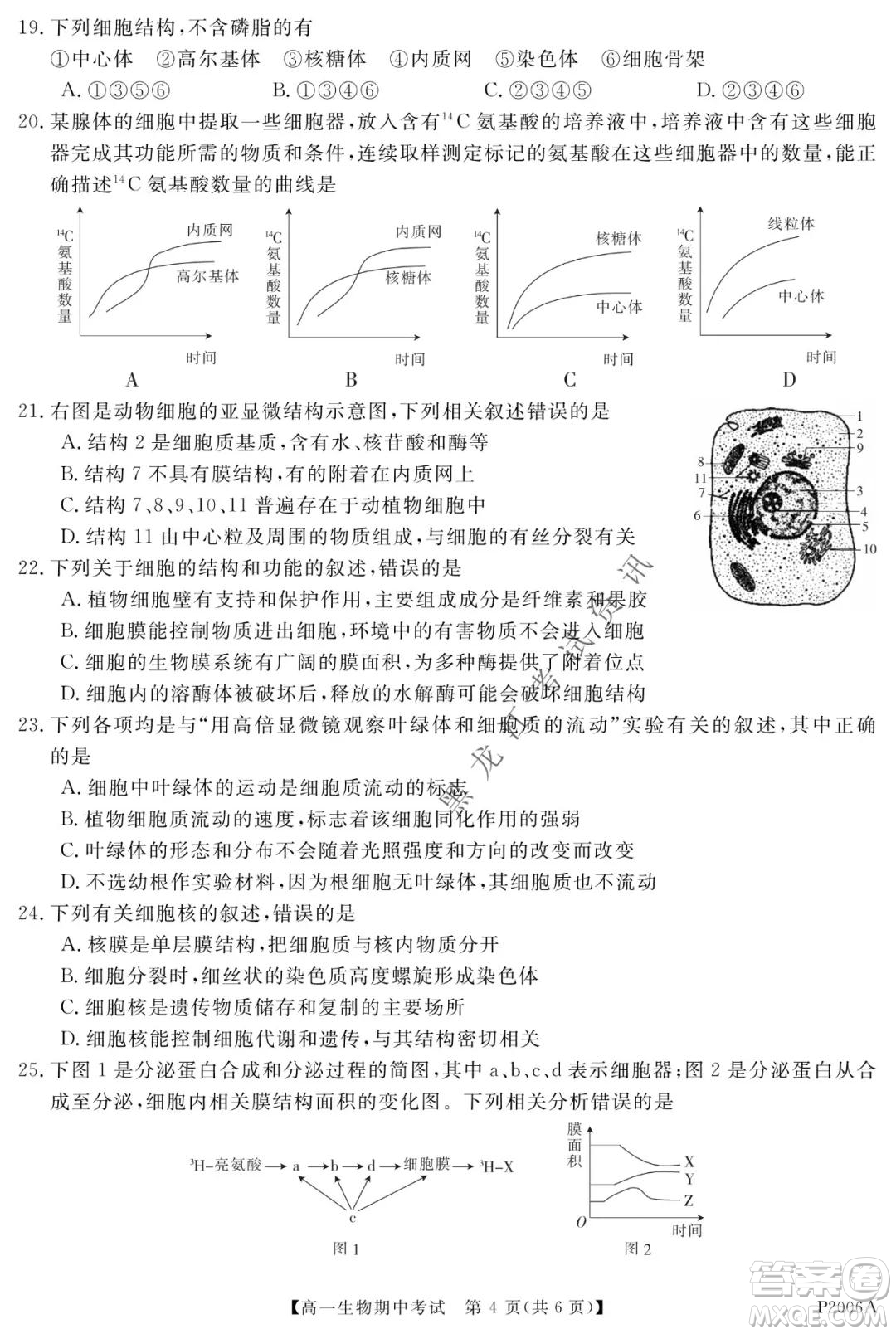 齊齊哈爾五校聯(lián)誼2021-2022學(xué)年高一上學(xué)期期中考試生物試題及答案