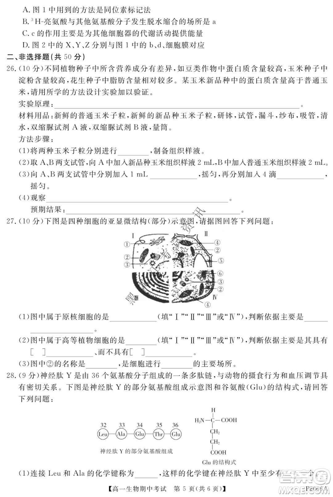 齊齊哈爾五校聯(lián)誼2021-2022學(xué)年高一上學(xué)期期中考試生物試題及答案