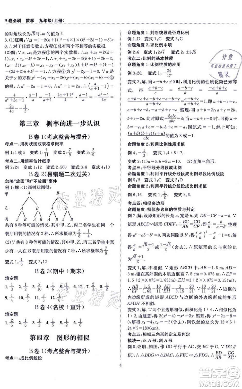 天地出版社2021秋B卷必刷九年級(jí)數(shù)學(xué)全一冊(cè)BS北師版答案