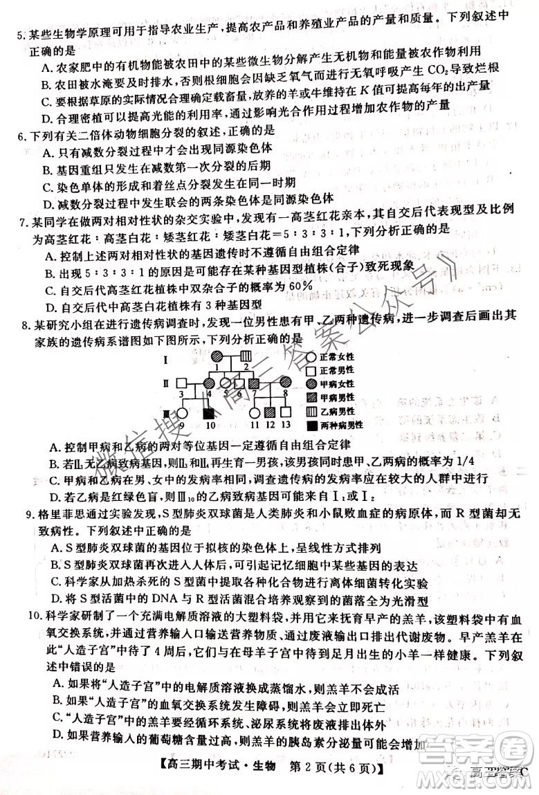 石家莊二中21-22學(xué)年高三年級期中考試生物試卷及答案