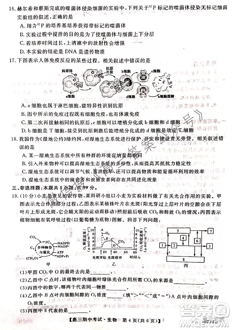 石家莊二中21-22學(xué)年高三年級期中考試生物試卷及答案