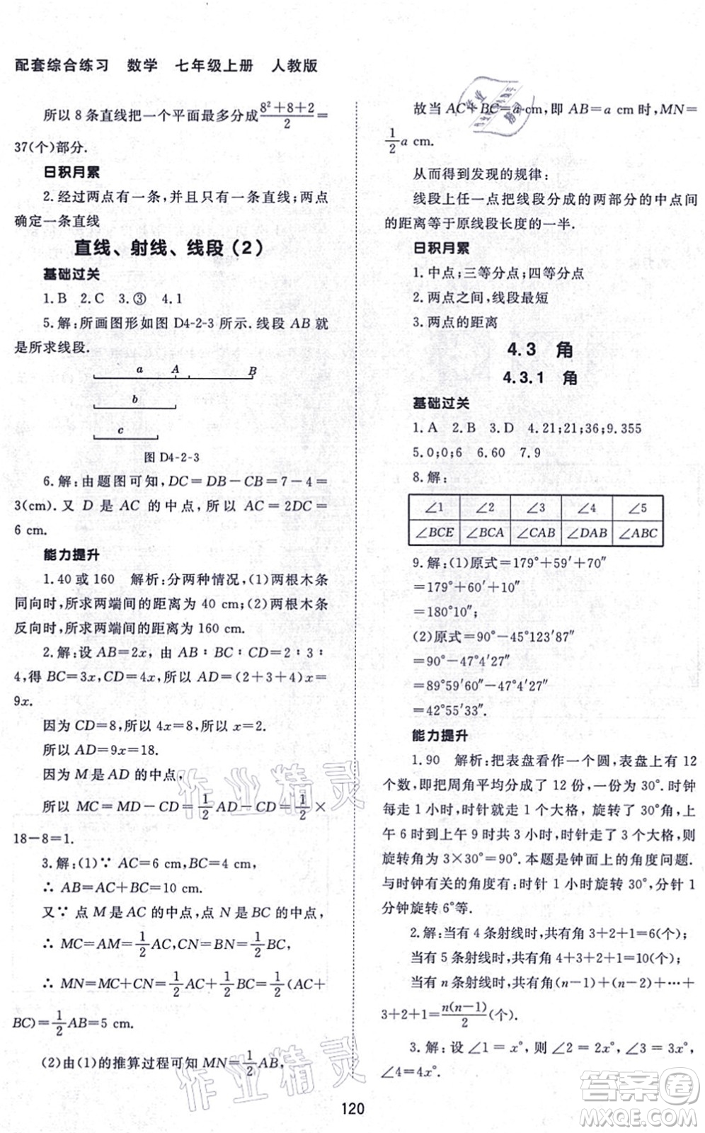 北京師范大學(xué)出版社2021數(shù)學(xué)配套綜合練習(xí)七年級上冊人教版答案