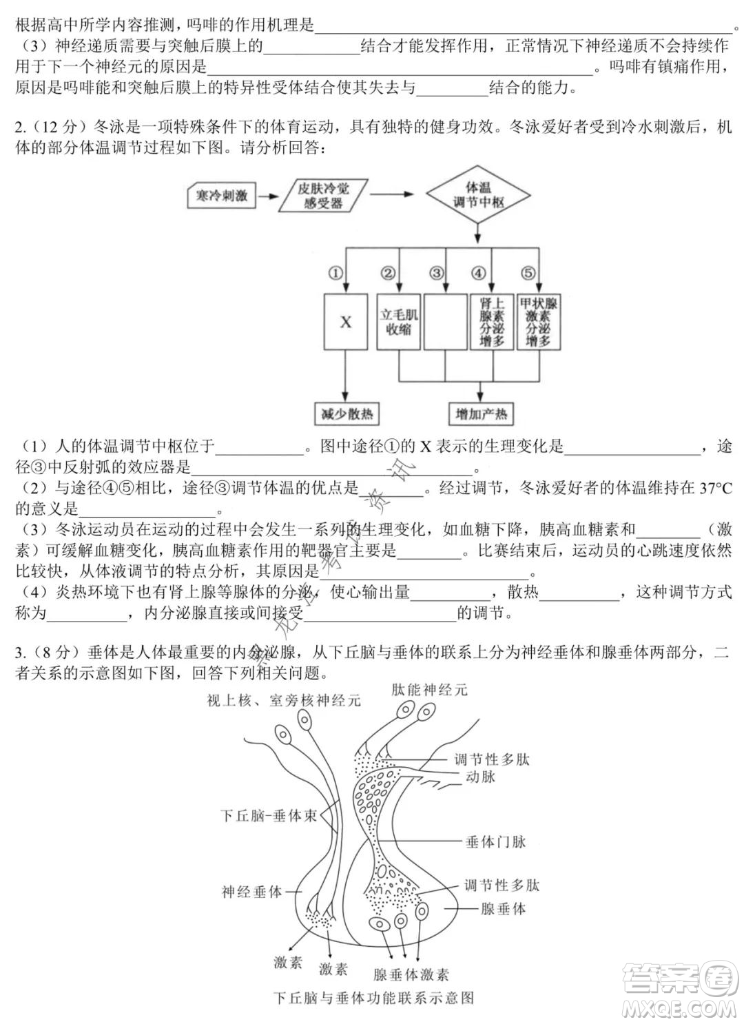 哈師大附中2020級(jí)高二上學(xué)期期中考試生物試卷及答案