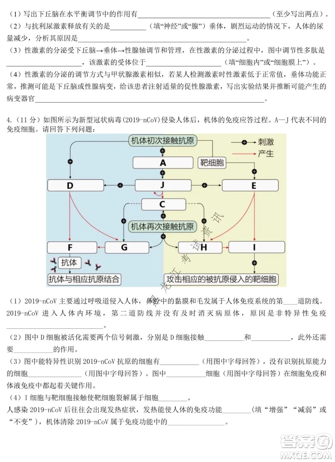 哈師大附中2020級(jí)高二上學(xué)期期中考試生物試卷及答案