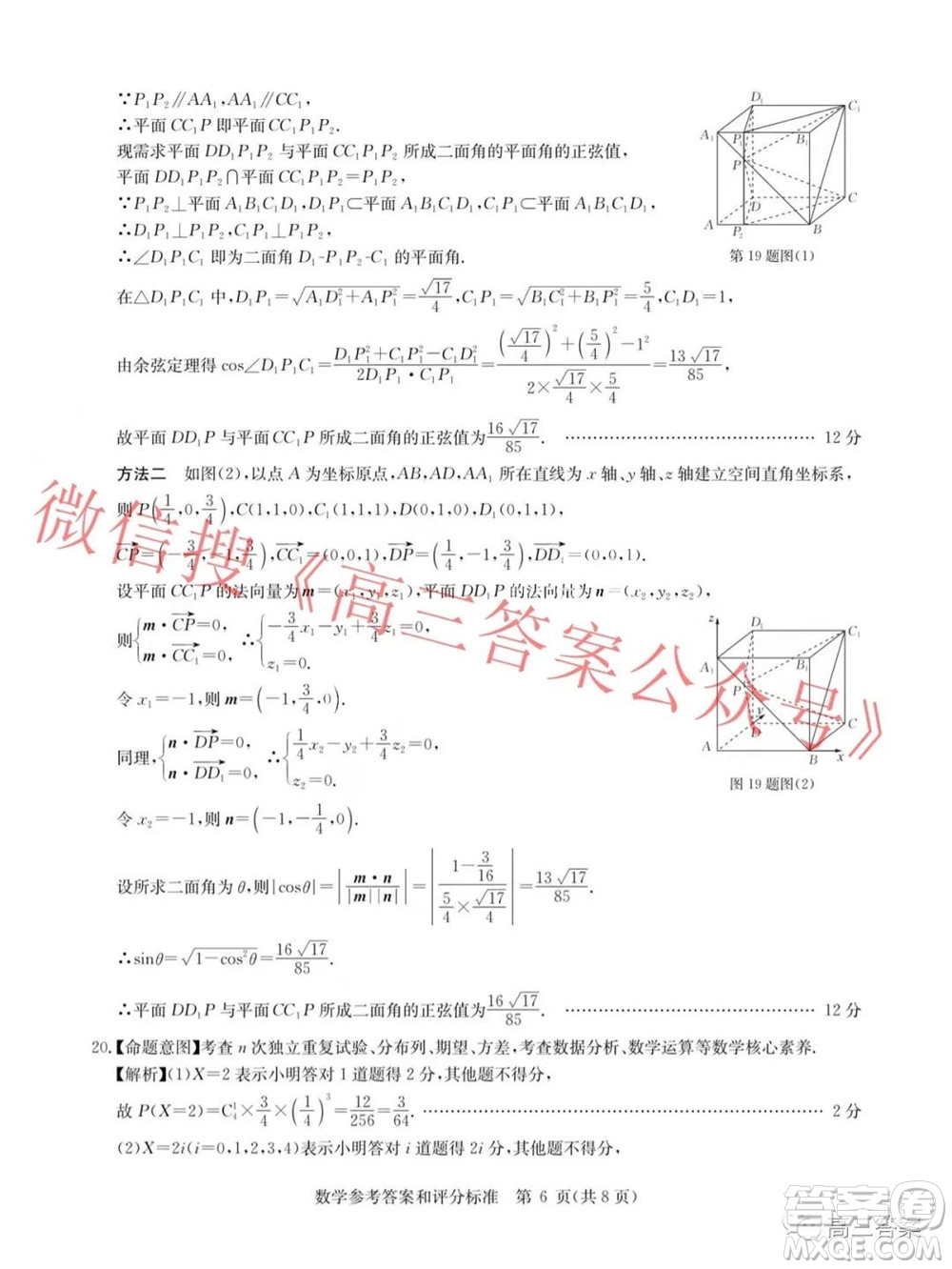 華大新高考聯(lián)盟2022屆高三11月教學(xué)質(zhì)量測評數(shù)學(xué)試題及答案