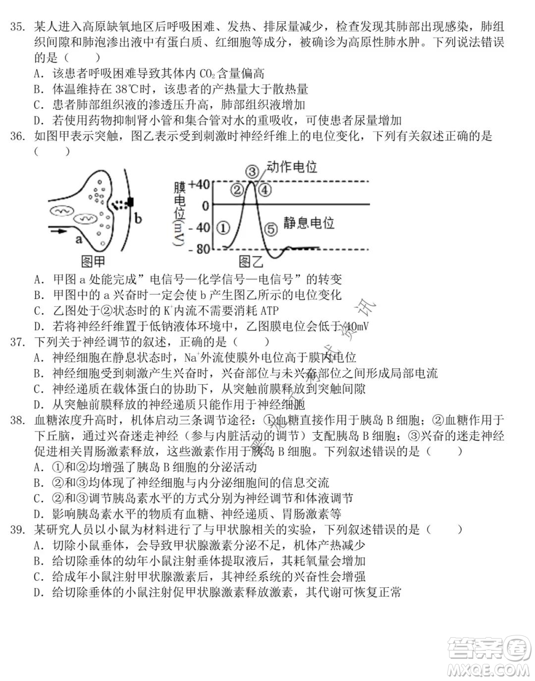 東北師大附中2021-2022高三上學(xué)期第二次摸底考試生物試題及答案