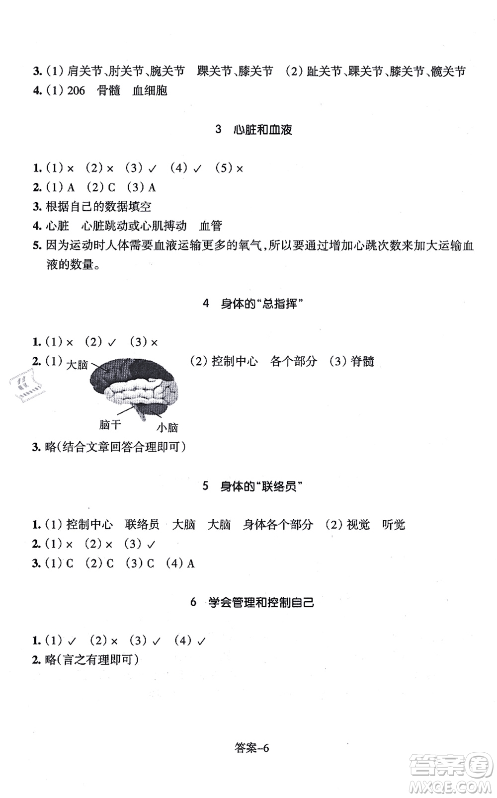 浙江少年兒童出版社2021每課一練五年級科學(xué)上冊J教科版答案