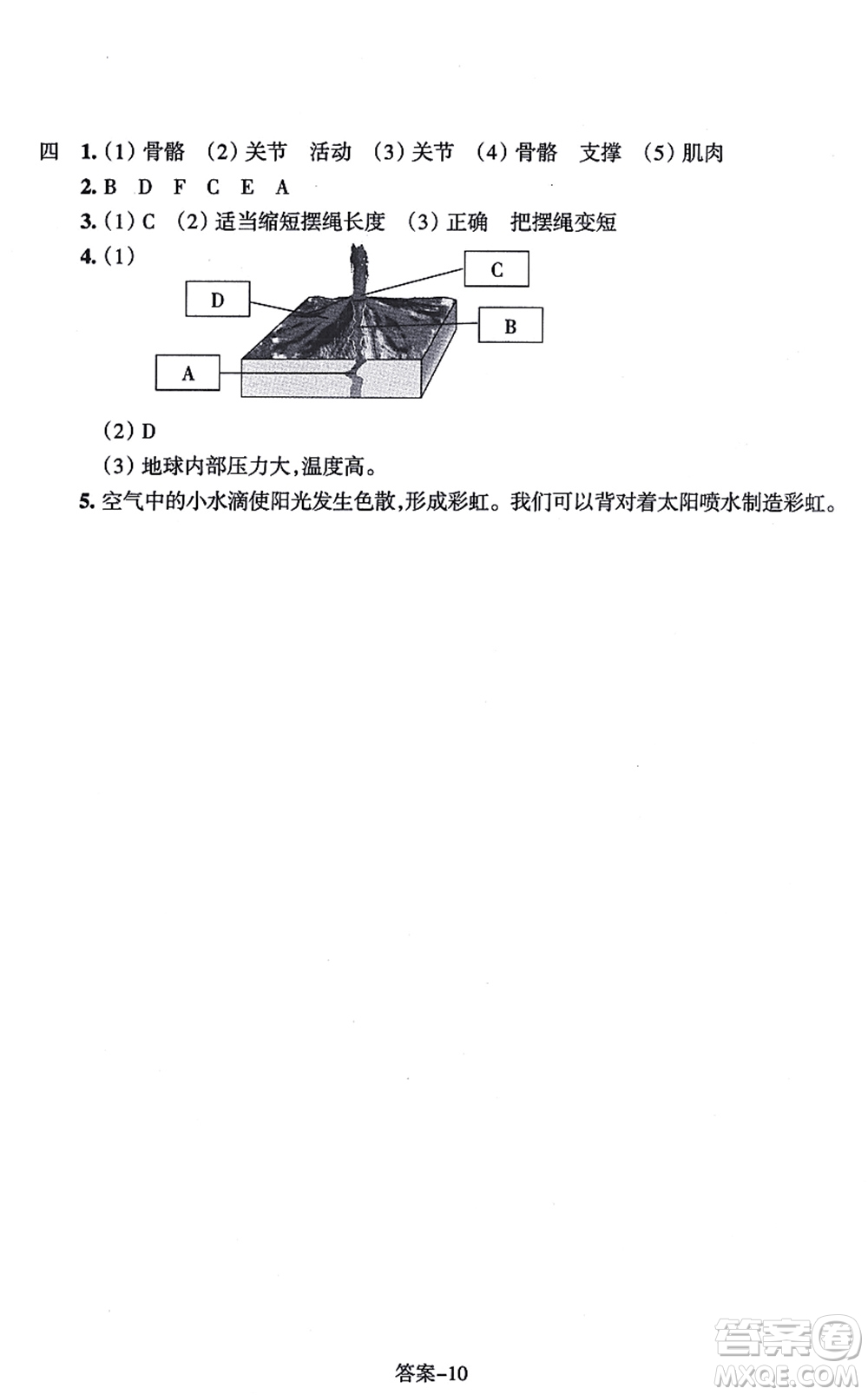 浙江少年兒童出版社2021每課一練五年級科學(xué)上冊J教科版答案