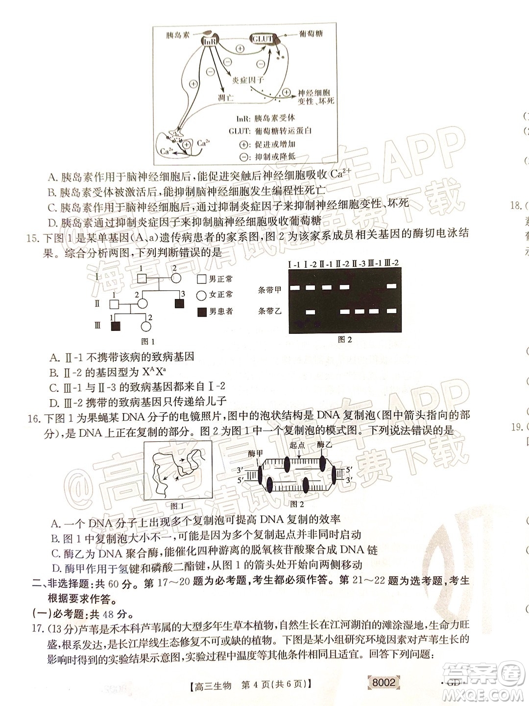 2022屆廣東金太陽高三11月聯(lián)考生物試題及答案