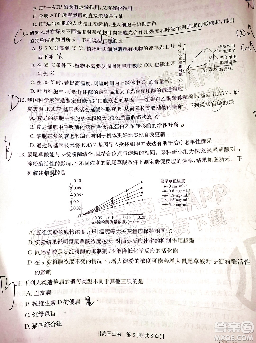 2022屆吉林金太陽三十六校高三11月聯(lián)考生物試題及答案