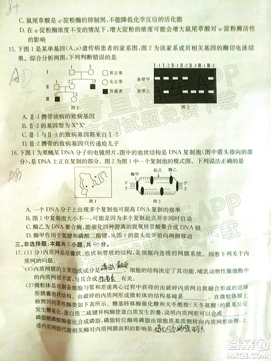 2022屆湖南金太陽高三11月聯(lián)考生物試題及答案