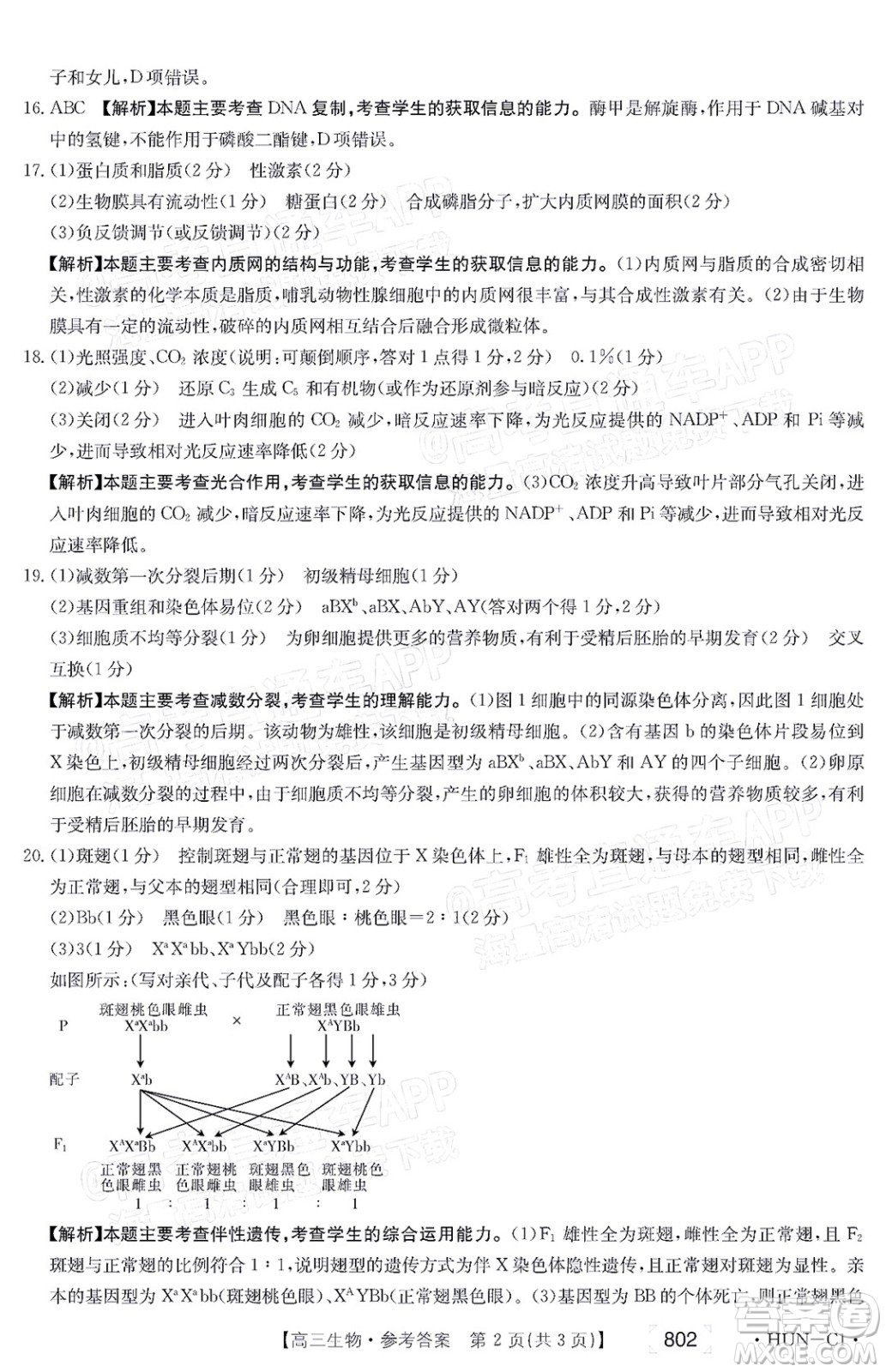 2022屆湖南金太陽高三11月聯(lián)考生物試題及答案