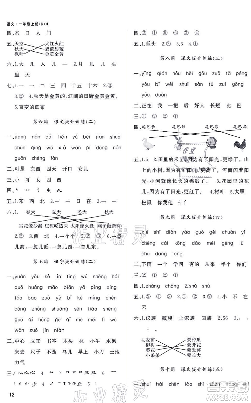 內(nèi)蒙古大學出版社2021超越訓(xùn)練一年級語文上冊R人教版綿陽專版答案