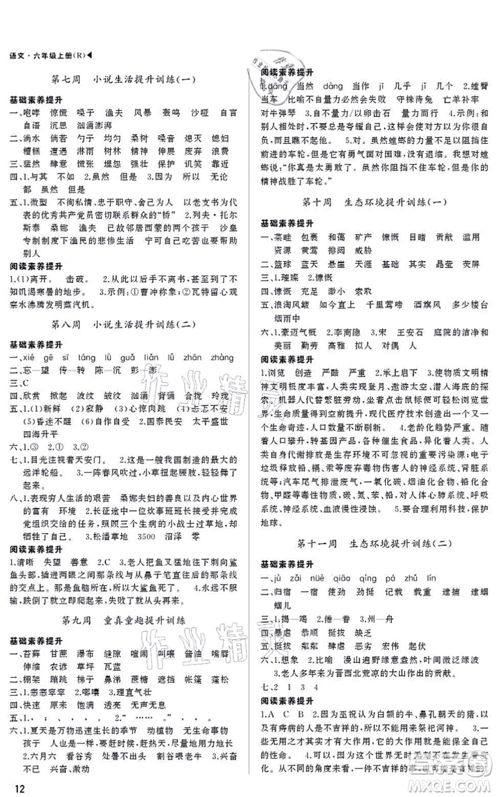 內(nèi)蒙古大學(xué)出版社2021超越訓(xùn)練六年級(jí)語(yǔ)文上冊(cè)R人教版綿陽(yáng)專版答案