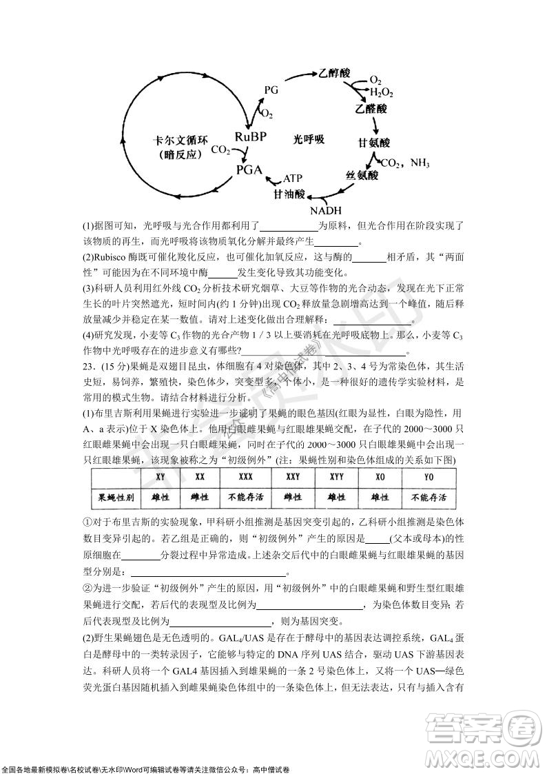 山東青島2021-2022學(xué)年度第一學(xué)期教學(xué)質(zhì)量檢測高三生物試題及答案