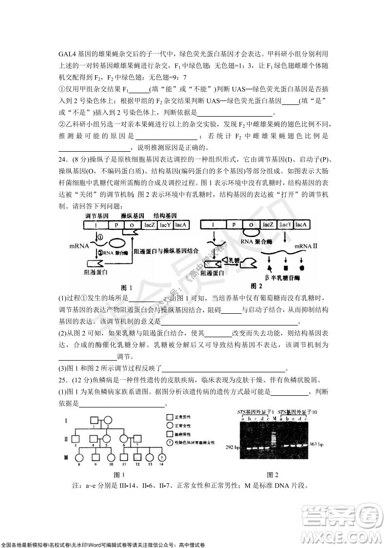 山東青島2021-2022學(xué)年度第一學(xué)期教學(xué)質(zhì)量檢測高三生物試題及答案