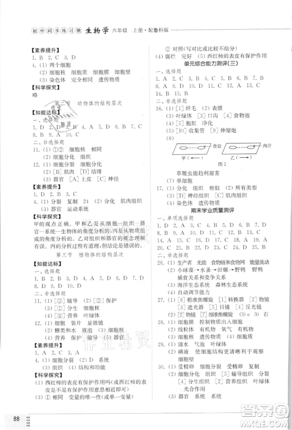 山東教育出版社2021初中同步練習冊五四制六年級生物上冊魯科版參考答案