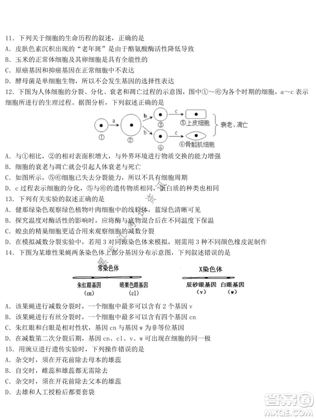 哈爾濱市第九中學2021-2022學年度上學期期中考試高三生物試題及答案