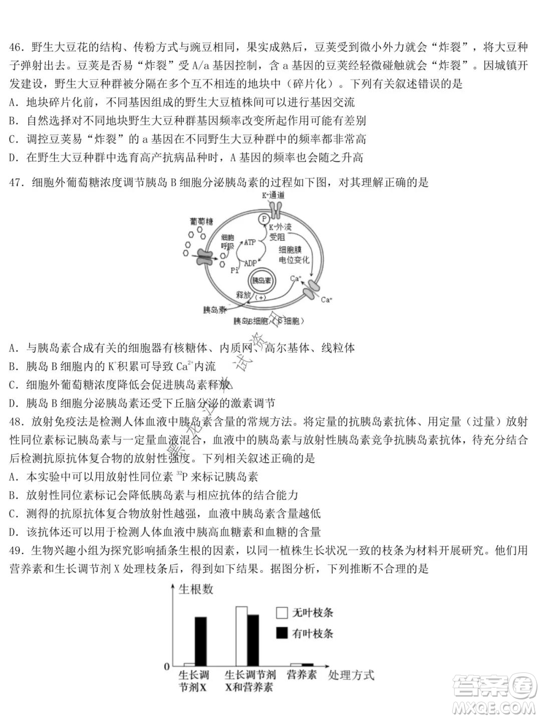 哈爾濱市第九中學2021-2022學年度上學期期中考試高三生物試題及答案