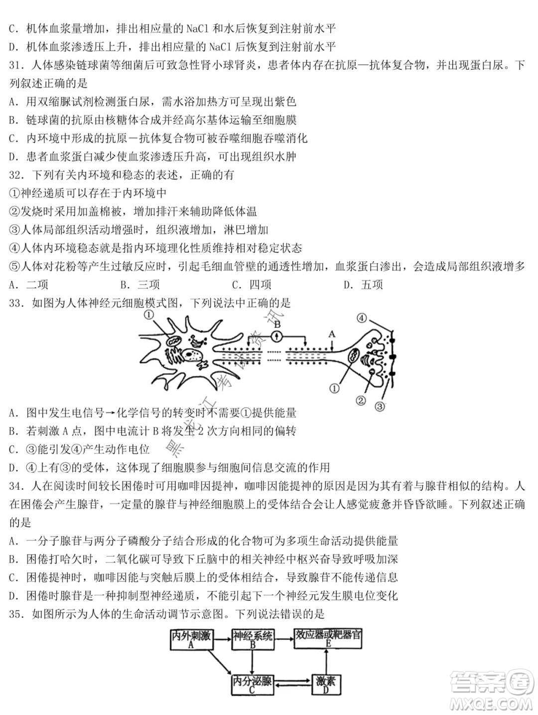 哈爾濱市第九中學2021-2022學年度上學期期中考試高三生物試題及答案