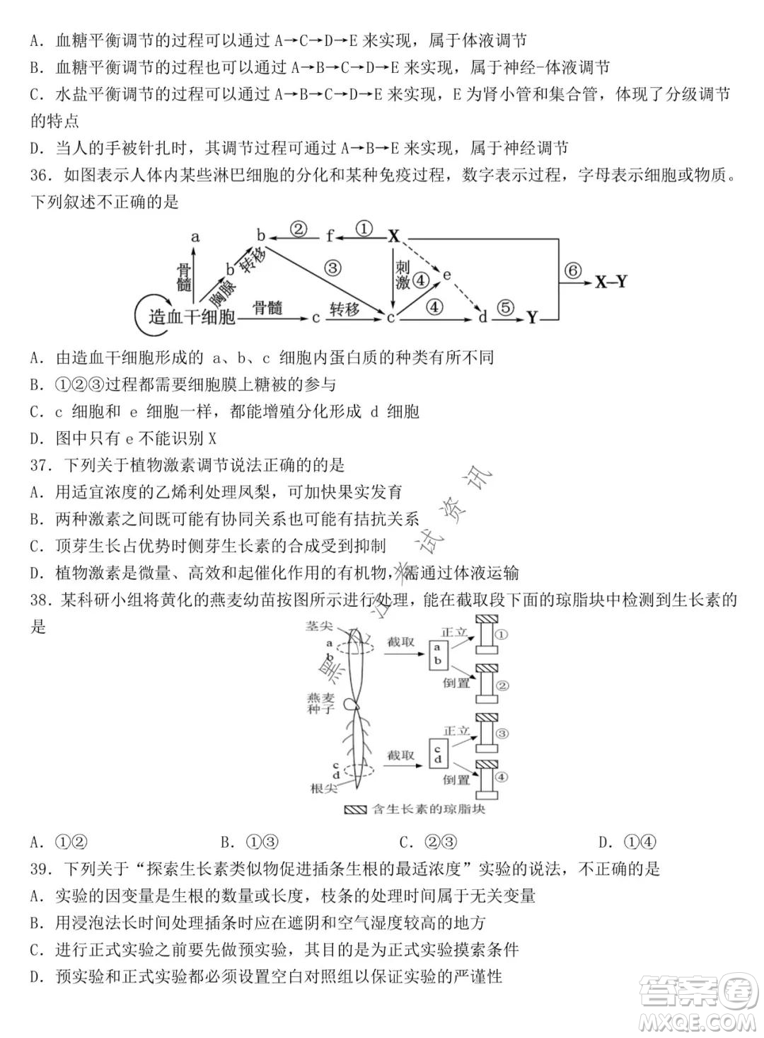 哈爾濱市第九中學2021-2022學年度上學期期中考試高三生物試題及答案