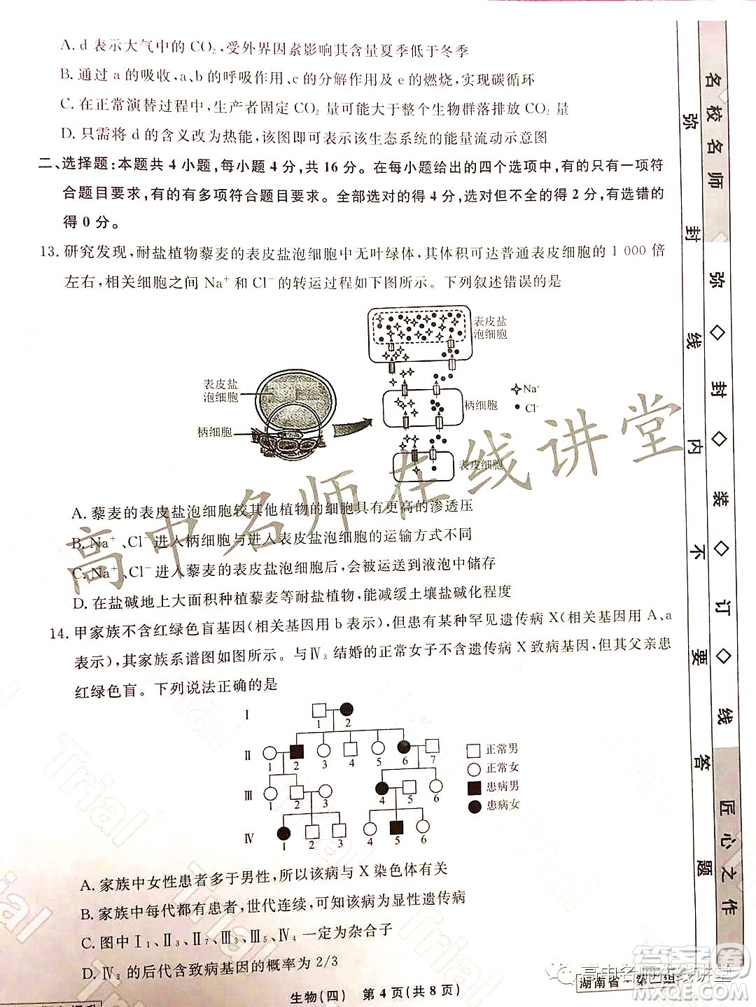 2021-2022學年度高三分科檢測提分卷四生物試題及答案