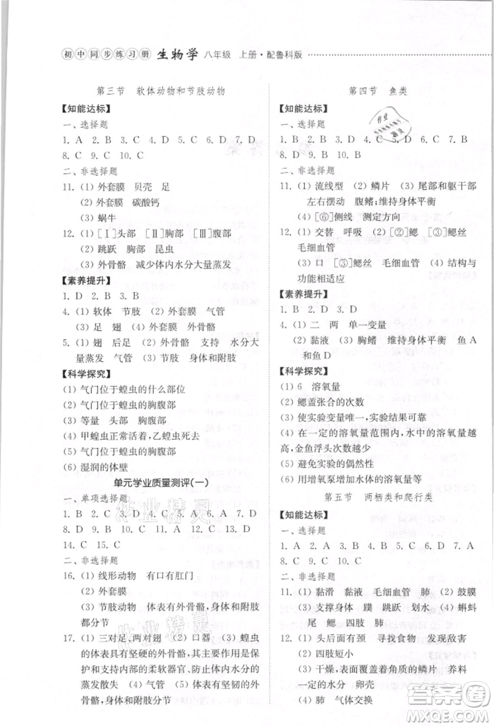 山東教育出版社2021初中同步練習(xí)冊五四制八年級生物學(xué)上冊魯科版參考答案