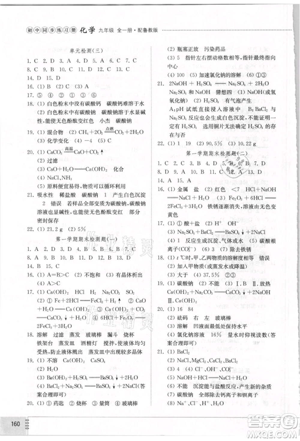 山東教育出版社2021初中同步練習(xí)冊五四制九年級(jí)化學(xué)魯教版參考答案