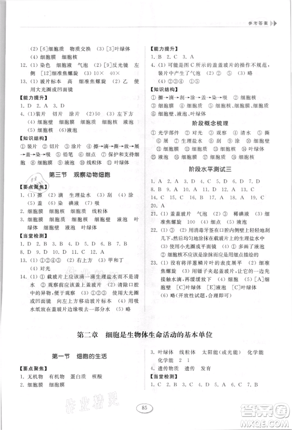 山東科學(xué)技術(shù)出版社2021初中同步練習(xí)冊五四制六年級上冊生物學(xué)魯科版參考答案