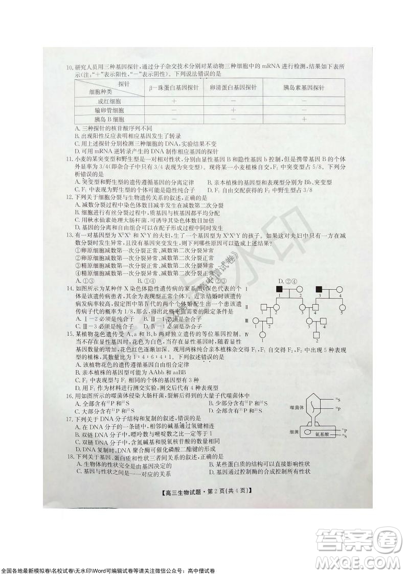 陜西安康2021-2022學(xué)年第一學(xué)期高三年級11月階段性考試生物試題及答案