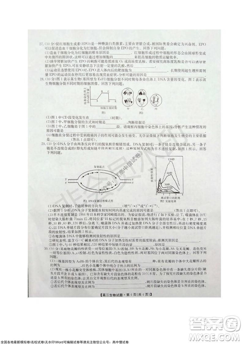 陜西安康2021-2022學(xué)年第一學(xué)期高三年級11月階段性考試生物試題及答案