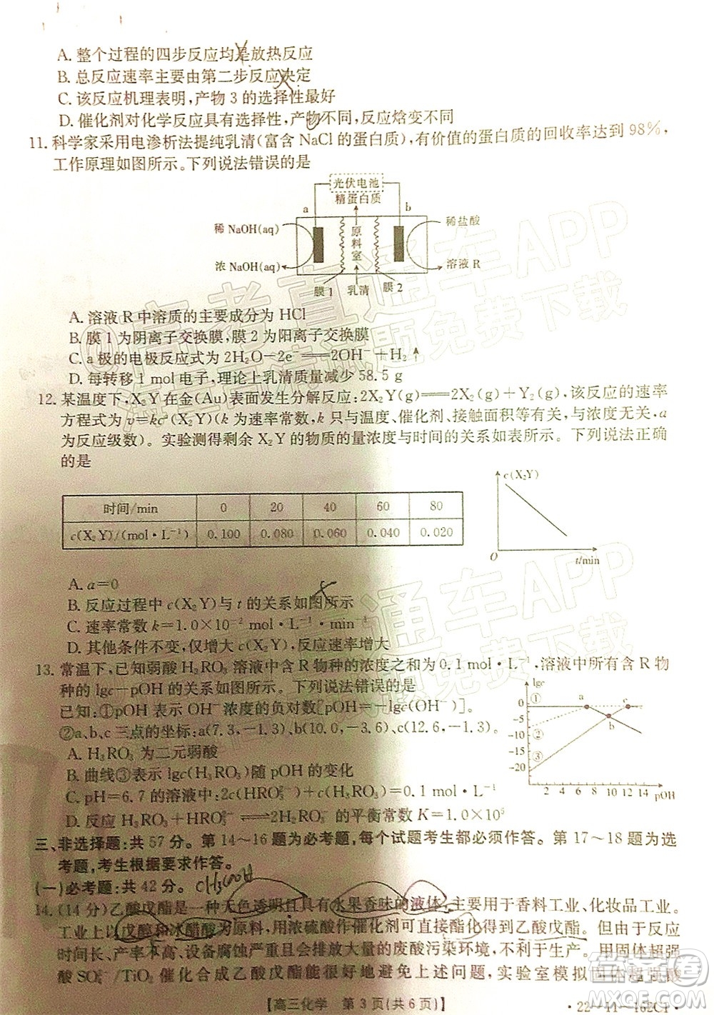 2022屆河北金太陽高三12月聯(lián)考化學(xué)試題及答案