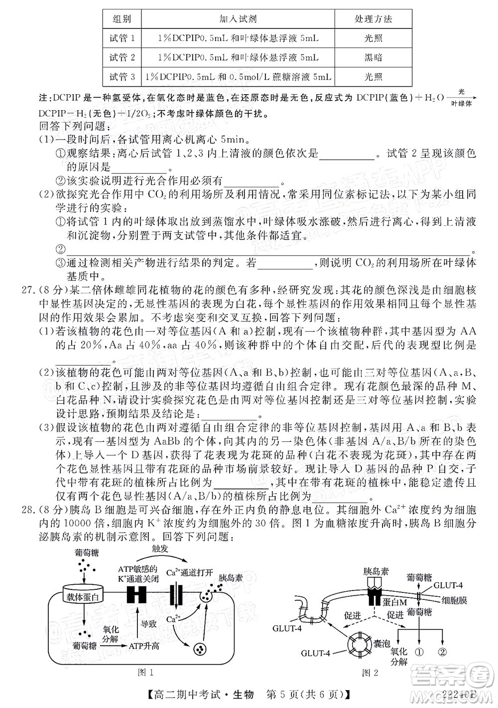 河南頂尖名校聯(lián)盟2021-2022學年高二上學期期中考試生物試題及答案