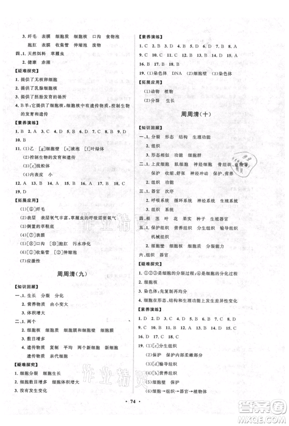 山東教育出版社2021初中同步練習(xí)冊(cè)分層卷五四制六年級(jí)生物上冊(cè)魯科版參考答案