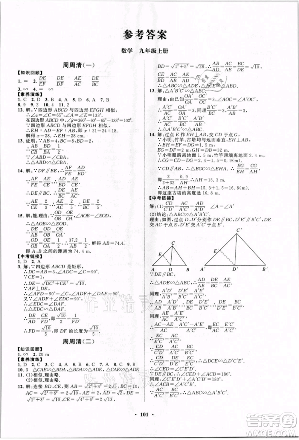 山東教育出版社2021初中同步練習(xí)冊(cè)分層卷九年級(jí)數(shù)學(xué)上冊(cè)青島版參考答案