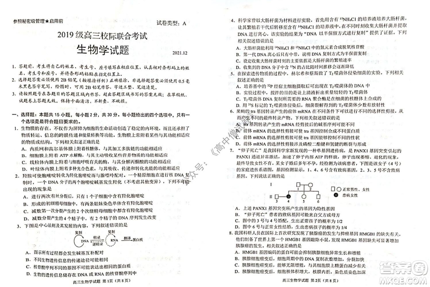 山東日照2019級高三校級聯(lián)合考試生物試題及答案