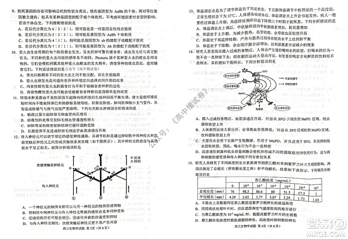 山東日照2019級高三校級聯(lián)合考試生物試題及答案