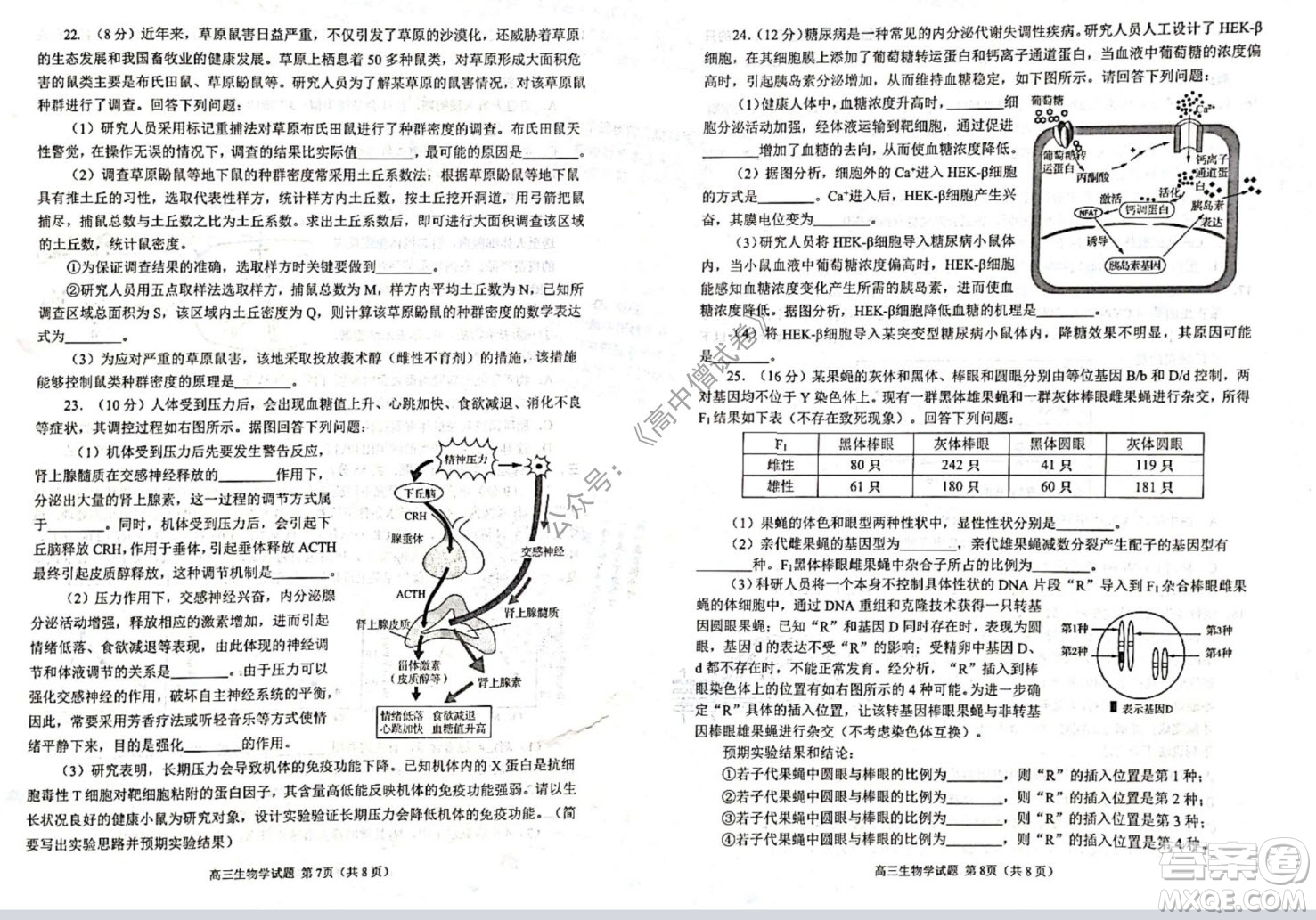 山東日照2019級高三校級聯(lián)合考試生物試題及答案