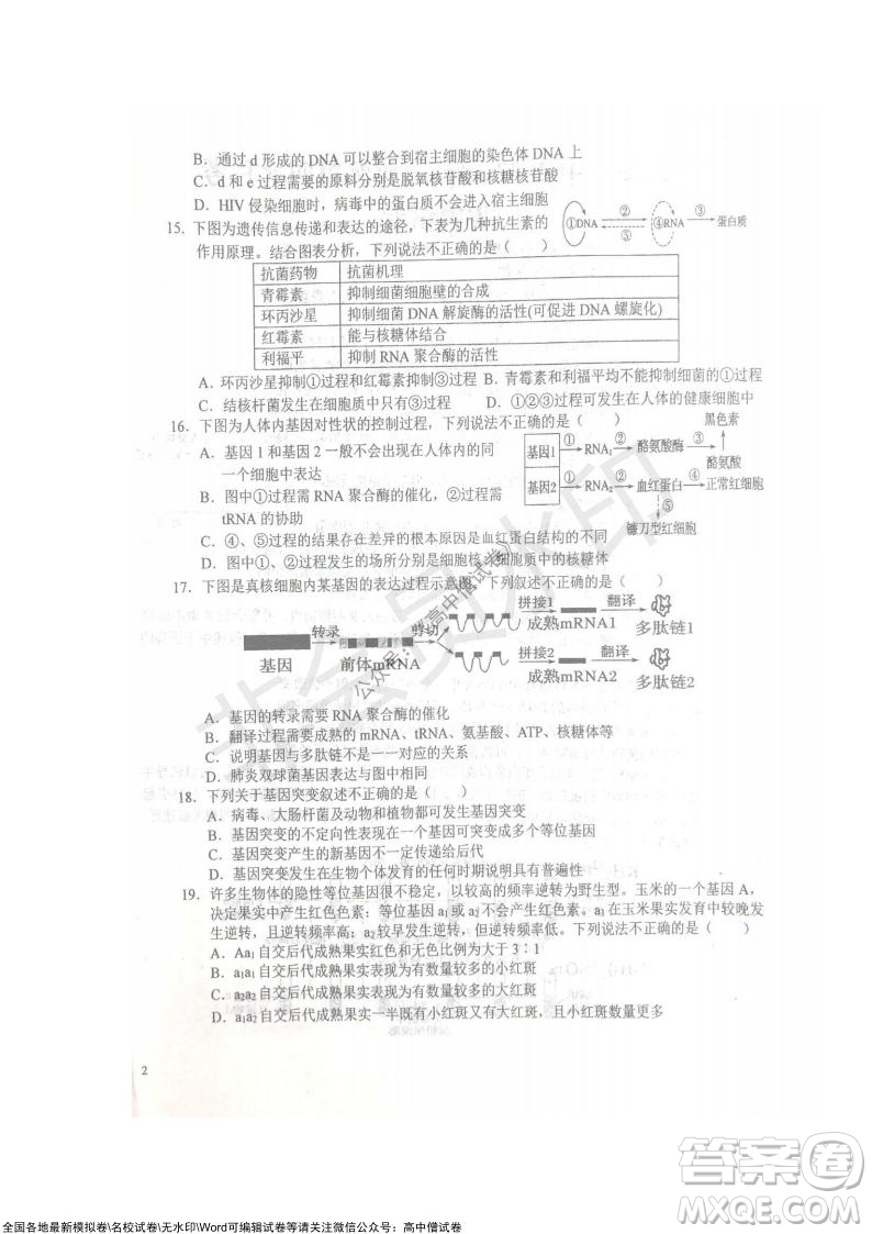 安徽六安一中學(xué)2022屆高三年級(jí)第四次月考生物試題及答案