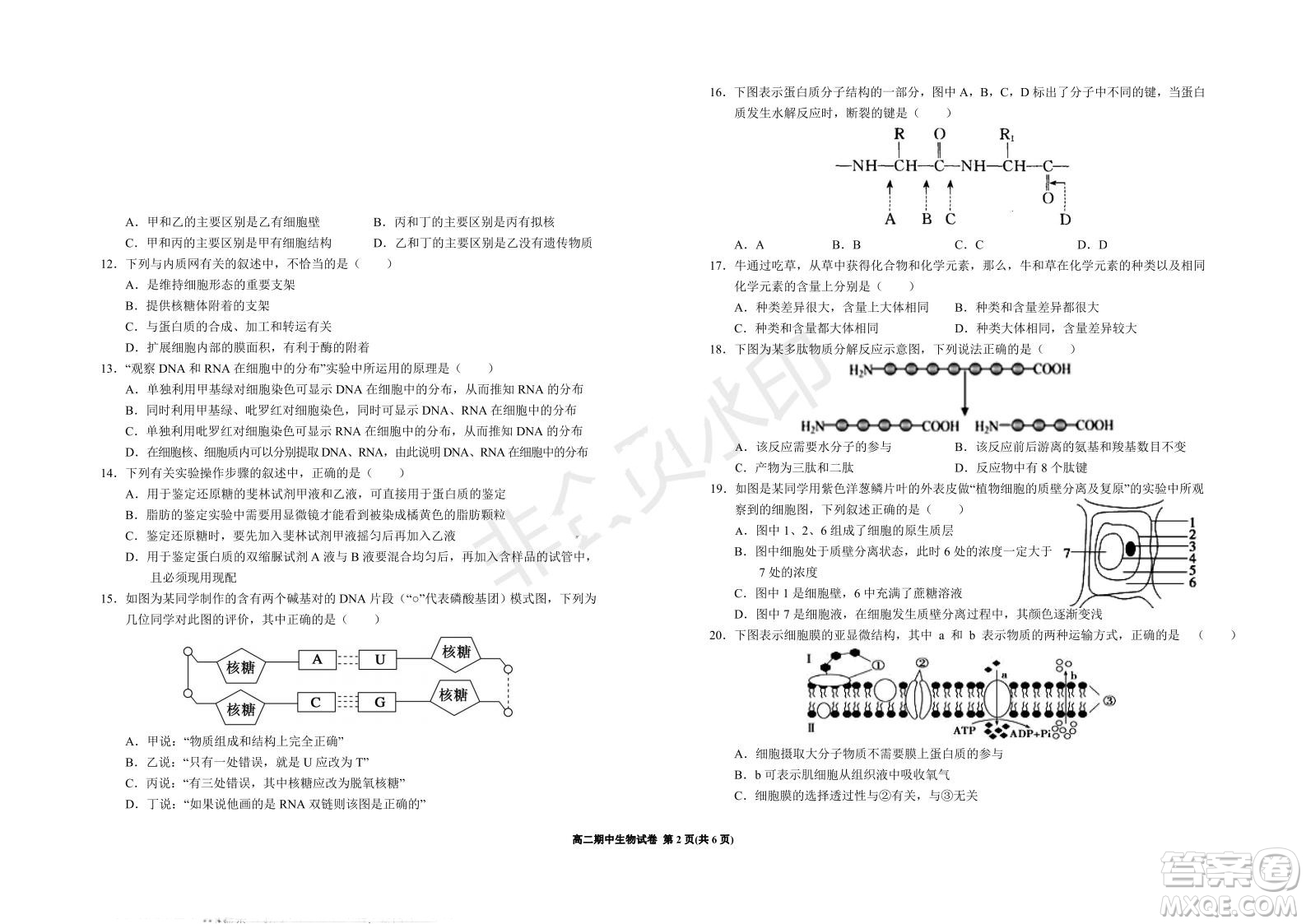 銀川一中2021-2022學(xué)年度高二上學(xué)期期中考試生物試題及答案