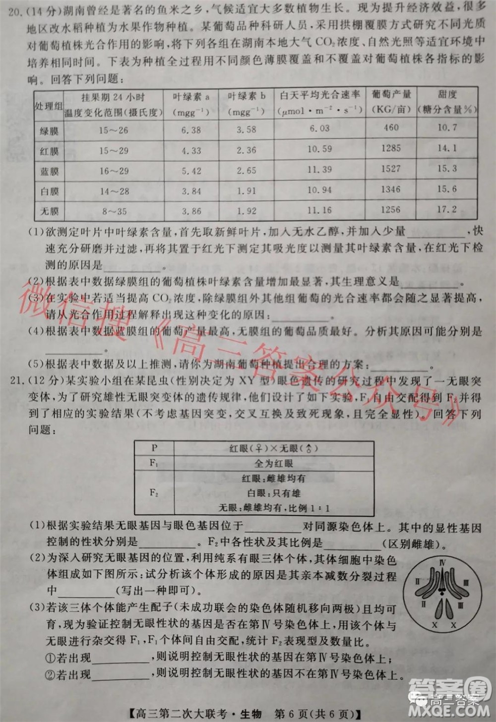 五市十校教研教改共同體2022屆高三第二次大聯(lián)考生物試題及答案