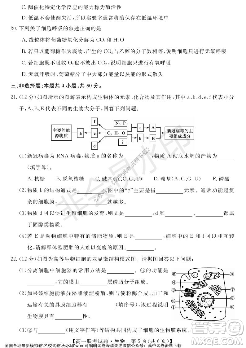 湖南省五市十校2021年12月高一年級(jí)聯(lián)考試題生物答案