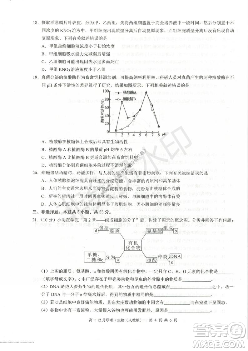 2021年廣西三新學(xué)術(shù)聯(lián)盟高一12月聯(lián)考生物試題及答案