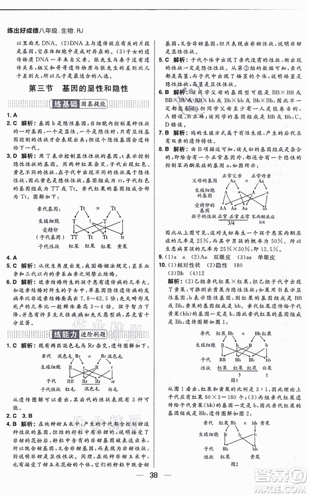 南方出版社2021練出好成績(jī)八年級(jí)生物上冊(cè)RJ人教版答案