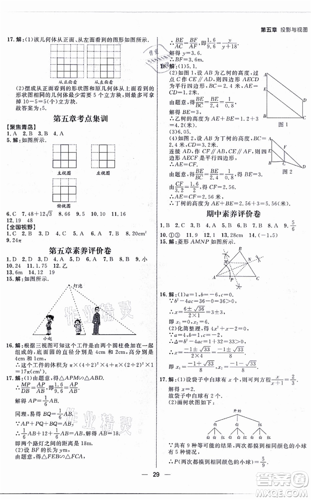 南方出版社2021練出好成績九年級數(shù)學全一冊北師大版青島專版答案