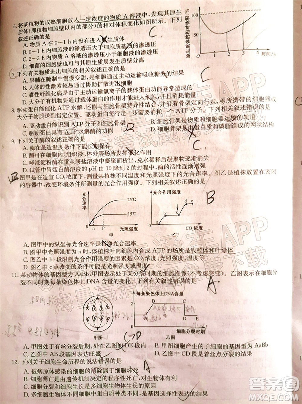 蒙城一中渦陽一中淮南一中懷遠一中潁上一中2022屆高三第一次五校聯考生物試題及答案