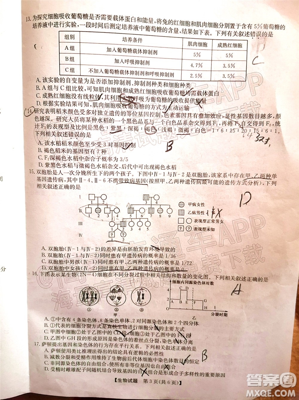 蒙城一中渦陽一中淮南一中懷遠一中潁上一中2022屆高三第一次五校聯考生物試題及答案